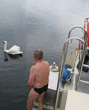 schwan