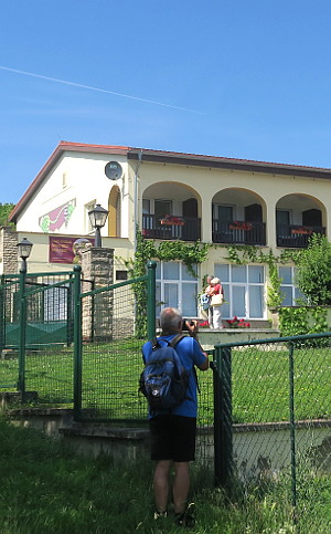 Motiv Rebschule